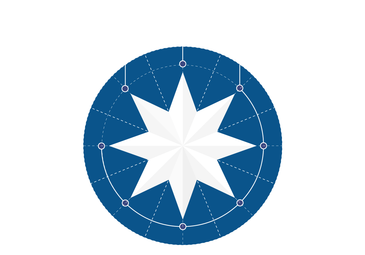 the unity flag a